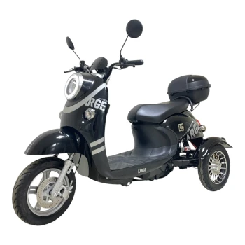 Электротрицикл GT-EV5 (Черный)